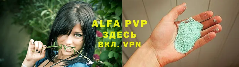 наркотики  Александров  blacksprut ссылки  APVP СК 